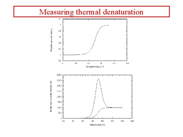 Measuring thermal denaturation 