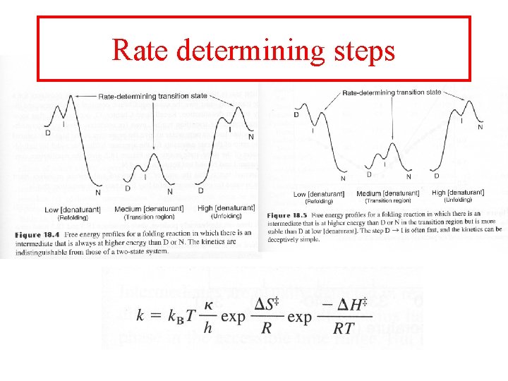 Rate determining steps 