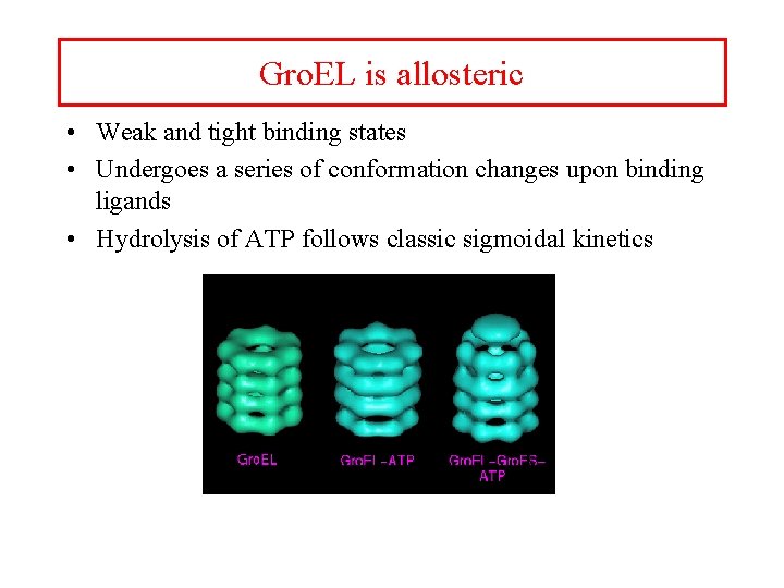 Gro. EL is allosteric • Weak and tight binding states • Undergoes a series