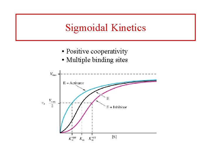 Sigmoidal Kinetics • Positive cooperativity • Multiple binding sites 