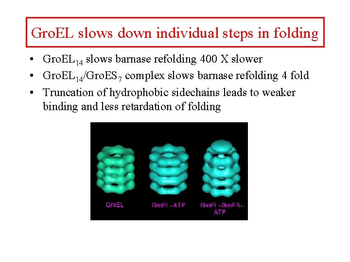 Gro. EL slows down individual steps in folding • Gro. EL 14 slows barnase