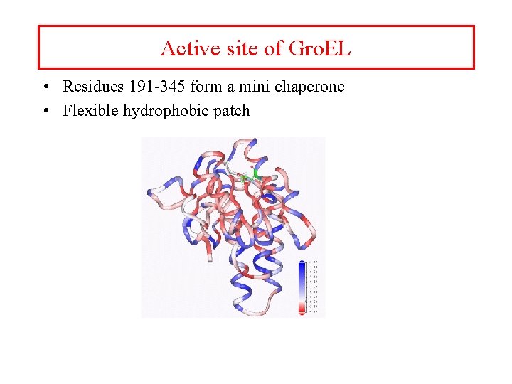 Active site of Gro. EL • Residues 191 -345 form a mini chaperone •