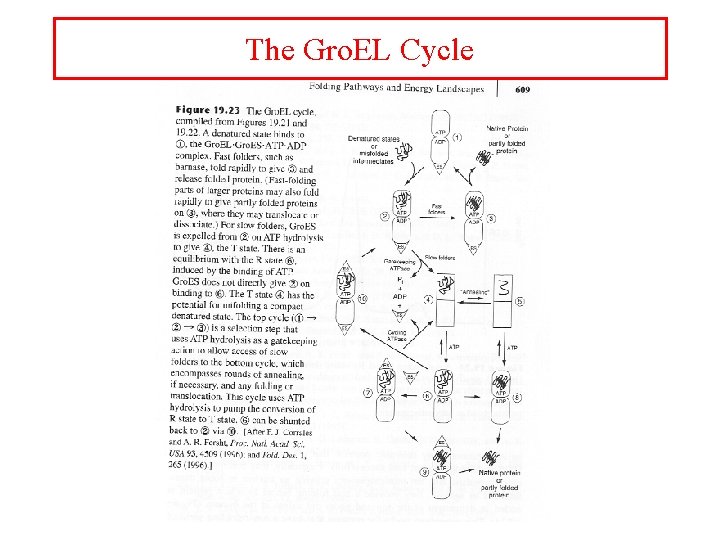 The Gro. EL Cycle 