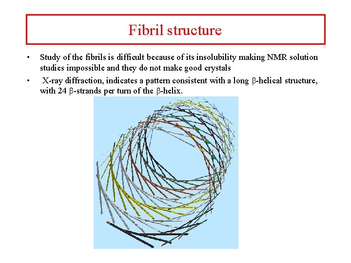 Fibril structure • • Study of the fibrils is difficult because of its insolubility