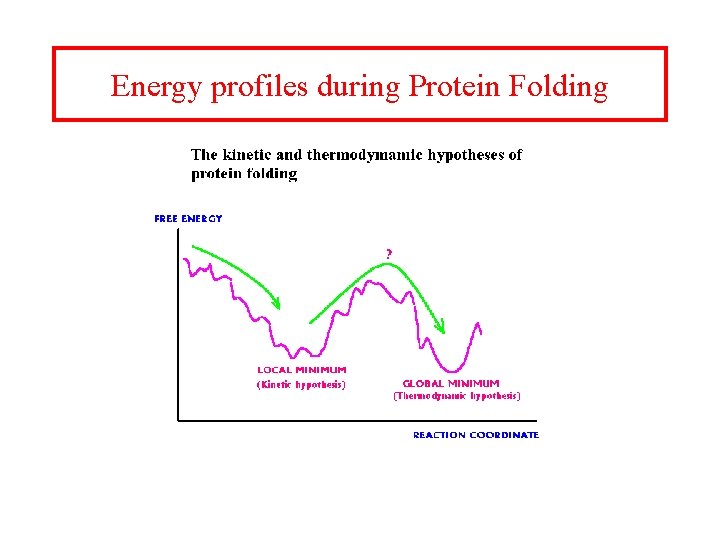 Energy profiles during Protein Folding 