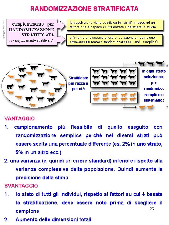 RANDOMIZZAZIONE STRATIFICATA In ogni strato Stratificare per razza o per età selezionare per randomizz.