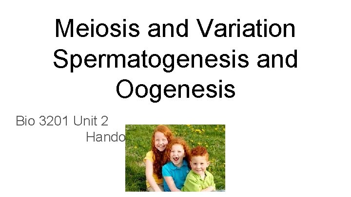 Meiosis and Variation Spermatogenesis and Oogenesis Bio 3201 Unit 2 Handout 2 