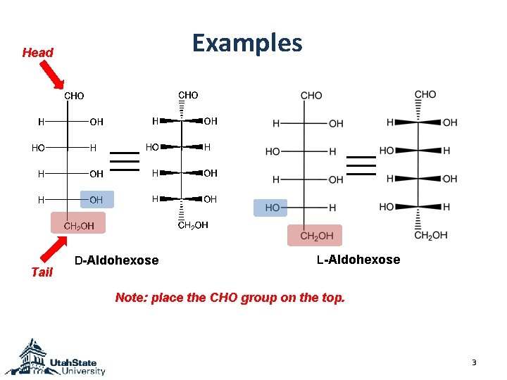 Examples Head Tail D-Aldohexose L-Aldohexose Note: place the CHO group on the top. 3