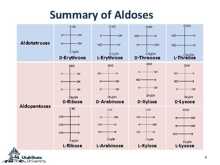 Summary of Aldoses Aldotetroses Aldopentoses D-Erythrose L-Erythrose D-Threoose L-Threose D-Ribose D-Arabinose D-Xylose D-Lyxose L-Ribose