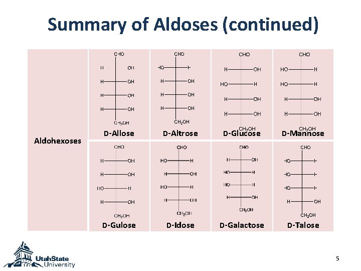 Summary of Aldoses (continued) Aldohexoses D-Allose D-Altrose D-Glucose D-Mannose D-Gulose D-Idose D-Galactose D-Talose 5