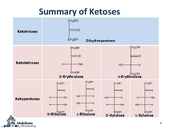 Summary of Ketoses Ketotrioses Dihydroxyacetone Ketotetroses D-Erythrulose Ketopentoses D-Ribulose L-Ribulose D-Xylulose L-Xylulose 6 