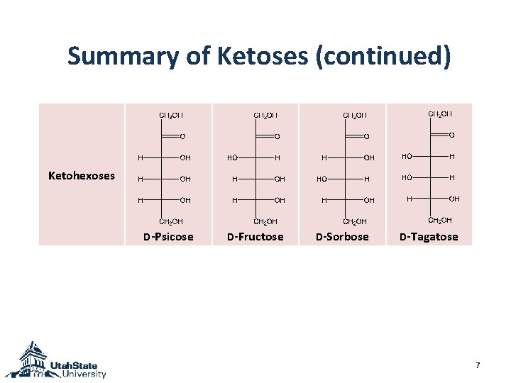 Summary of Ketoses (continued) Ketohexoses D-Psicose D-Fructose D-Sorbose D-Tagatose 7 