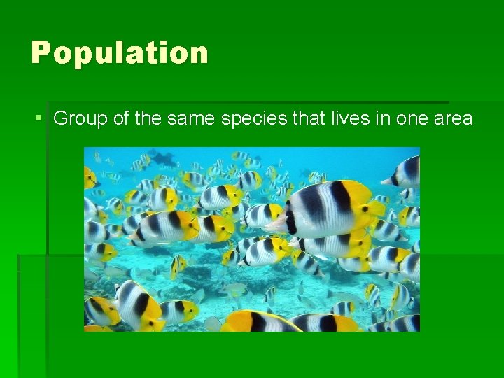 Population § Group of the same species that lives in one area 
