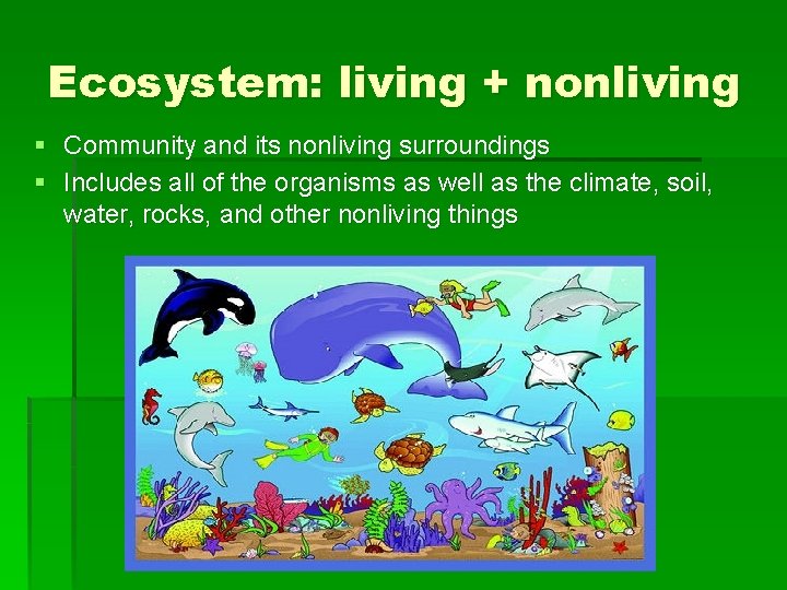 Ecosystem: living + nonliving § Community and its nonliving surroundings § Includes all of