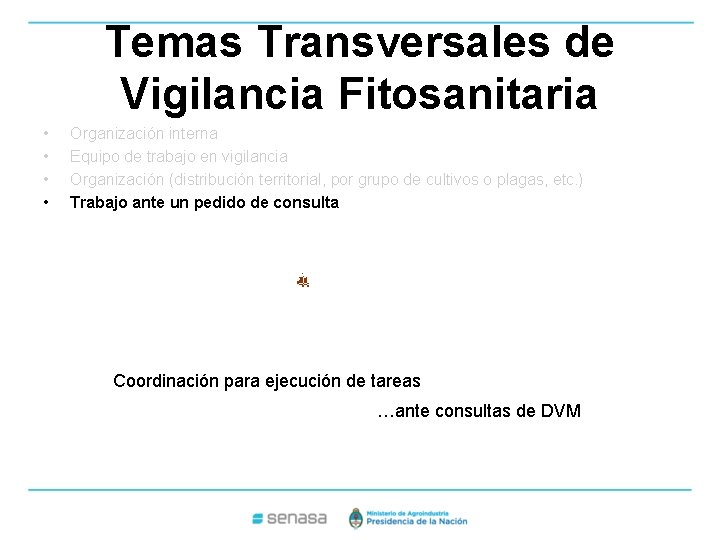 Temas Transversales de Vigilancia Fitosanitaria • • Organización interna Equipo de trabajo en vigilancia