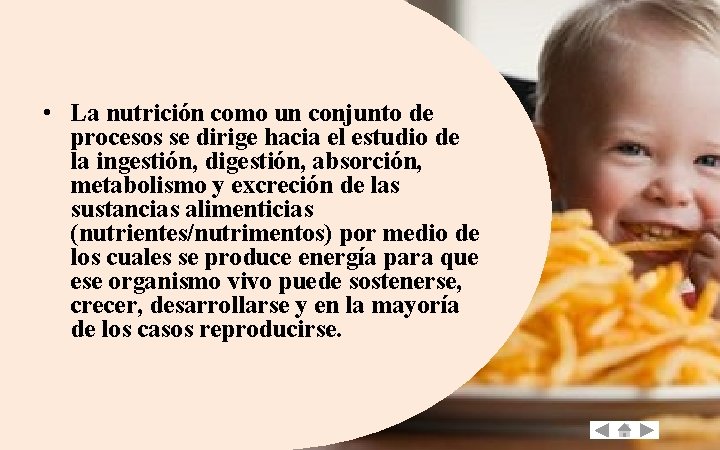  • La nutrición como un conjunto de procesos se dirige hacia el estudio