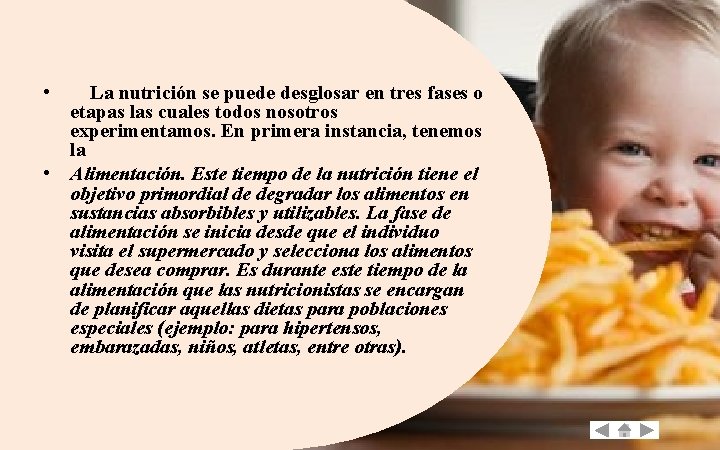  • La nutrición se puede desglosar en tres fases o etapas las cuales