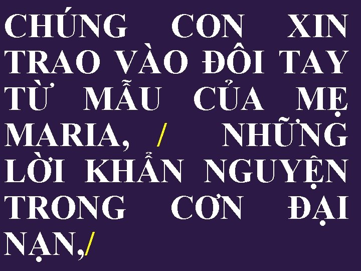 CHÚNG CON XIN TRAO VÀO ĐÔI TAY TỪ MẪU CỦA MẸ MARIA, / NHỮNG CHÚNG CON XIN TRAO VÀO ĐÔI TAY TỪ MẪU CỦA MẸ MARIA, / NHỮNG