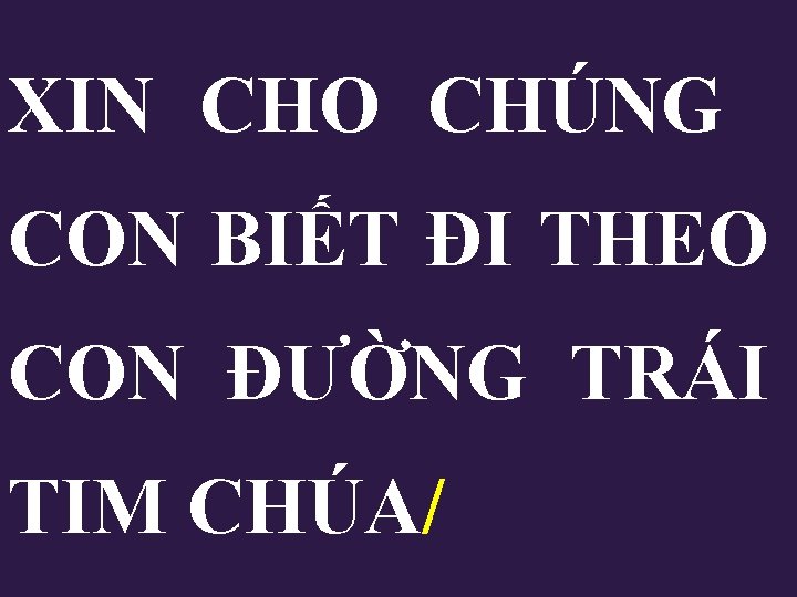 XIN CHO CHÚNG CON BIẾT ĐI THEO CON ĐƯỜNG TRÁI TIM CHÚA/ XIN CHO CHÚNG CON BIẾT ĐI THEO CON ĐƯỜNG TRÁI TIM CHÚA/