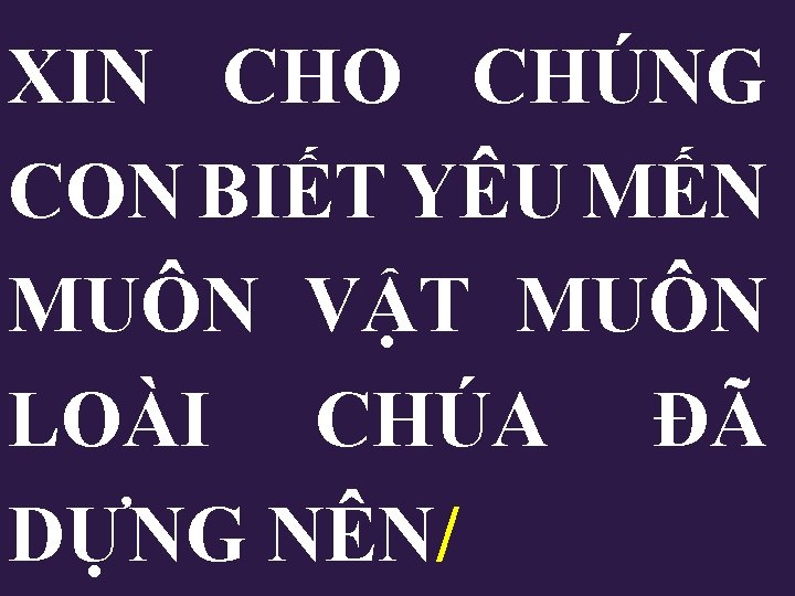 XIN CHO CHÚNG CON BIẾT YÊU MẾN MUÔN VẬT MUÔN LOÀI CHÚA ĐÃ DỰNG XIN CHO CHÚNG CON BIẾT YÊU MẾN MUÔN VẬT MUÔN LOÀI CHÚA ĐÃ DỰNG