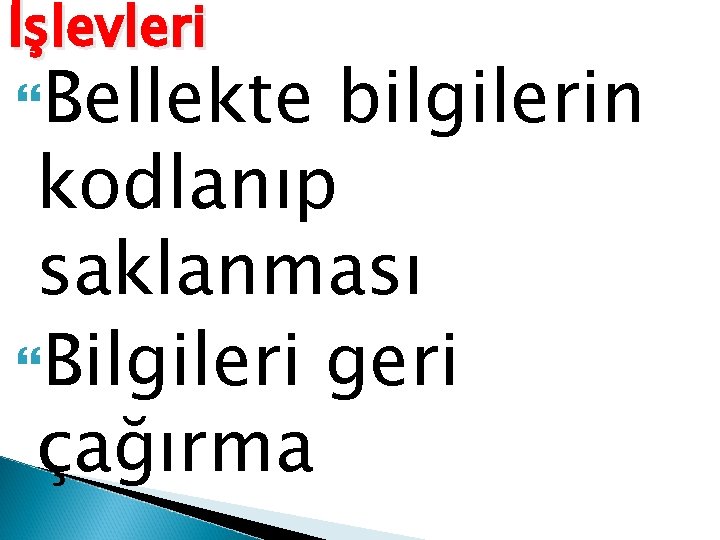 İşlevleri Bellekte bilgilerin kodlanıp saklanması Bilgileri geri çağırma 