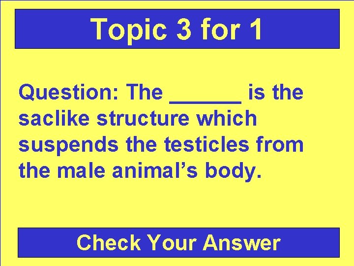 Topic 3 for 1 Question: The ______ is the saclike structure which suspends the