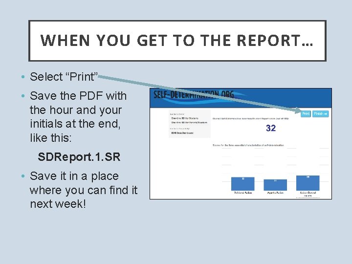 WHEN YOU GET TO THE REPORT… • Select “Print” • Save the PDF with