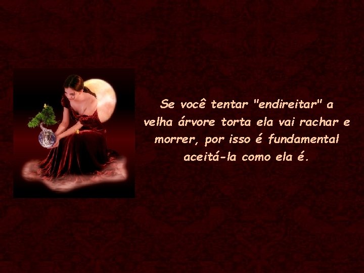 Se você tentar "endireitar" a velha árvore torta ela vai rachar e morrer, por