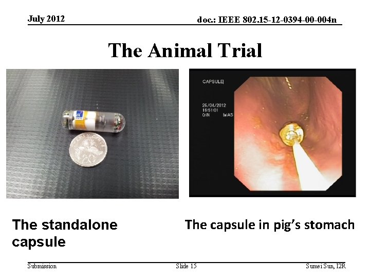 July 2012 doc. : IEEE 802. 15 -12 -0394 -00 -004 n The Animal