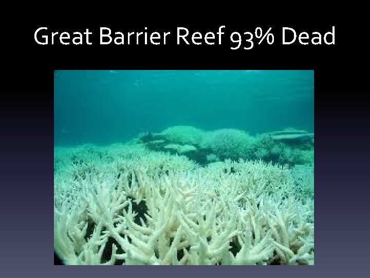 Great Barrier Reef 93% Dead 