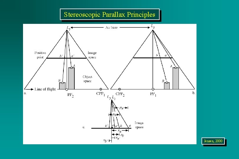 Stereoscopic Parallax Principles Jensen, 2000 
