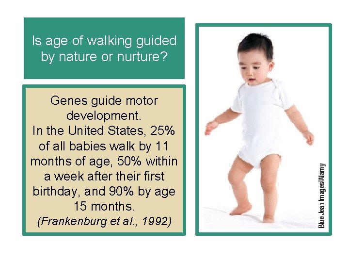 Is age of walking guided by nature or nurture? Genes guide motor development. In