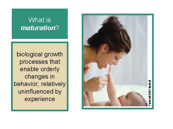 What is maturation? biological growth processes that enable orderly changes in behavior, relatively uninfluenced