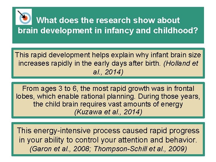 What does the research show about brain development in infancy and childhood? This rapid