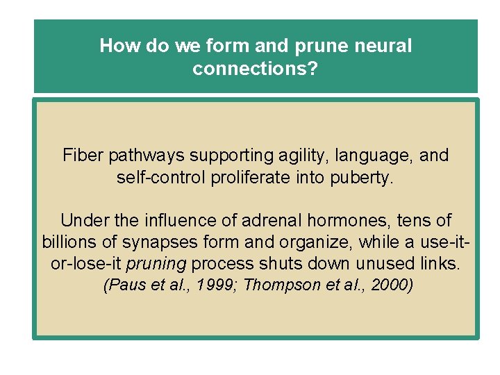 How do we form and prune neural connections? Fiber pathways supporting agility, language, and