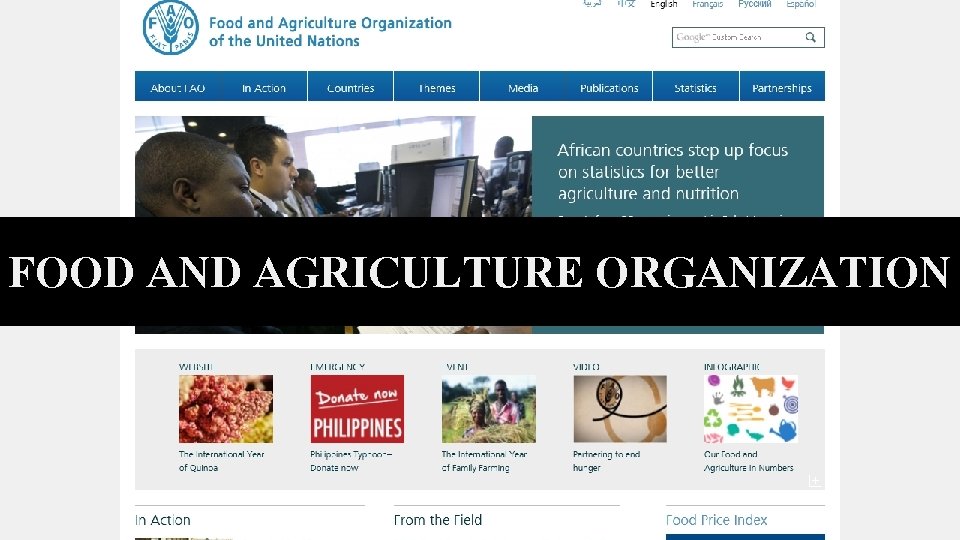 FOOD AND AGRICULTURE ORGANIZATION 