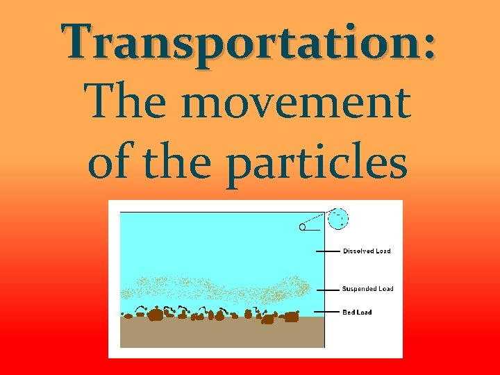 Transportation: The movement of the particles 