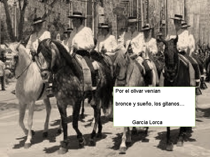 Por el olivar venían bronce y sueño, los gitanos… García Lorca 15 Carmen Andreu