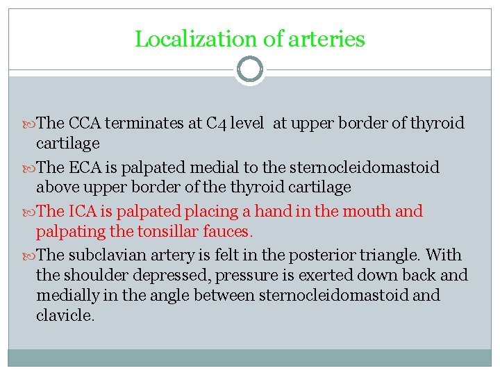 Localization of arteries The CCA terminates at C 4 level at upper border of