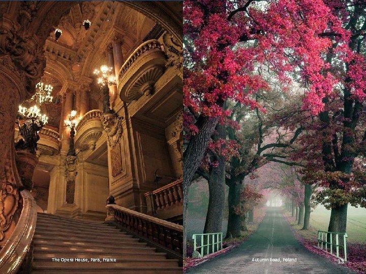 The Opera House, Paris, France Autumn Road, Poland 13 