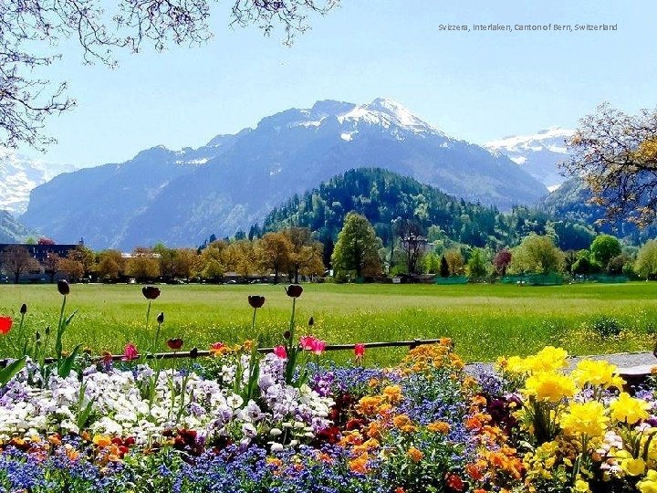 Svizzera, Interlaken, Canton of Bern, Switzerland 24 