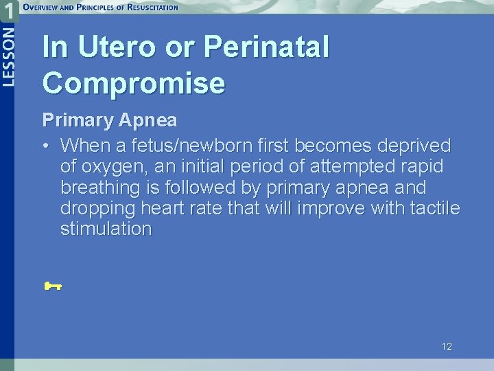 In Utero or Perinatal Compromise Primary Apnea • When a fetus/newborn first becomes deprived