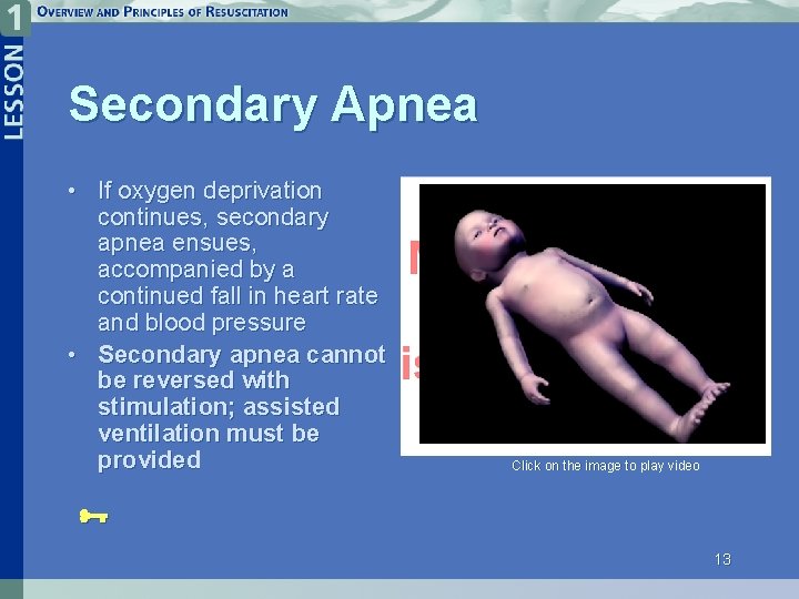 Secondary Apnea • If oxygen deprivation continues, secondary apnea ensues, accompanied by a continued