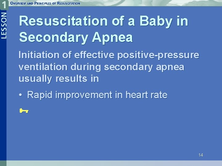 Resuscitation of a Baby in Secondary Apnea Initiation of effective positive-pressure ventilation during secondary