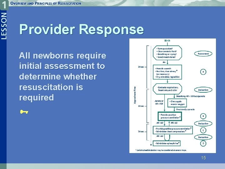 Provider Response All newborns require initial assessment to determine whether resuscitation is required 15