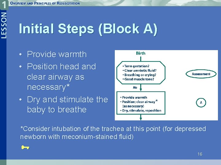 Initial Steps (Block A) • Provide warmth • Position head and clear airway as