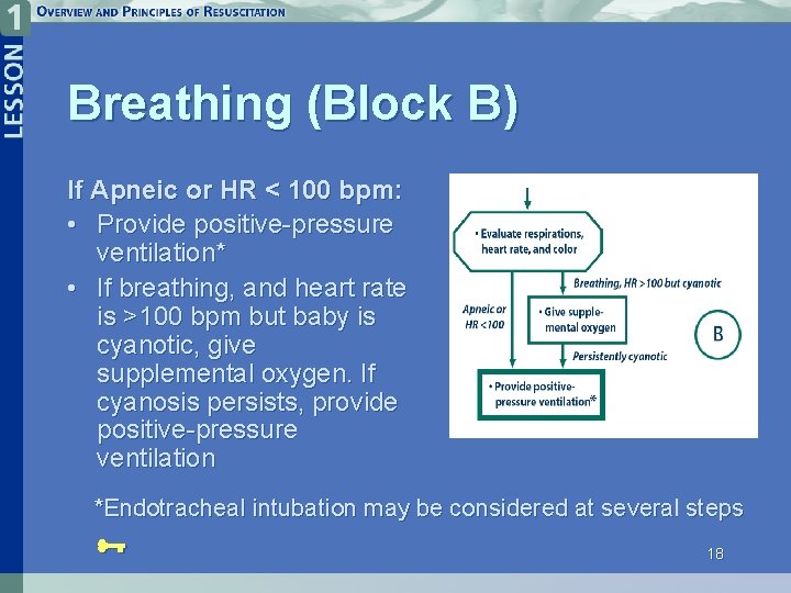 Breathing (Block B) If Apneic or HR < 100 bpm: • Provide positive-pressure ventilation*