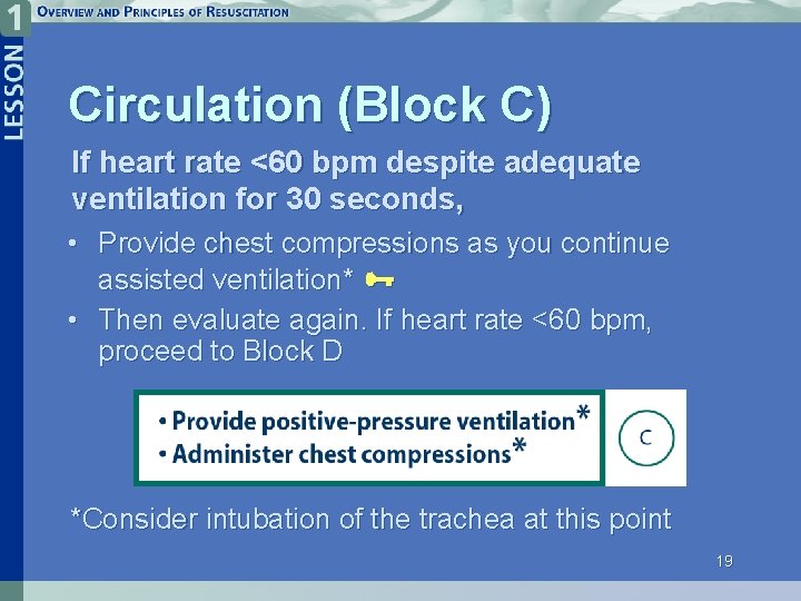 Circulation (Block C) If heart rate <60 bpm despite adequate ventilation for 30 seconds,