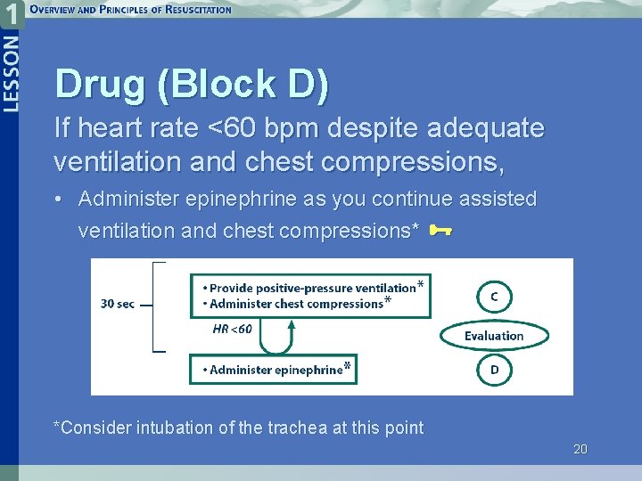 Drug (Block D) If heart rate <60 bpm despite adequate ventilation and chest compressions,