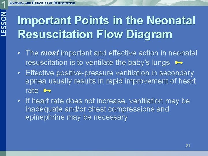 Important Points in the Neonatal Resuscitation Flow Diagram • The most important and effective